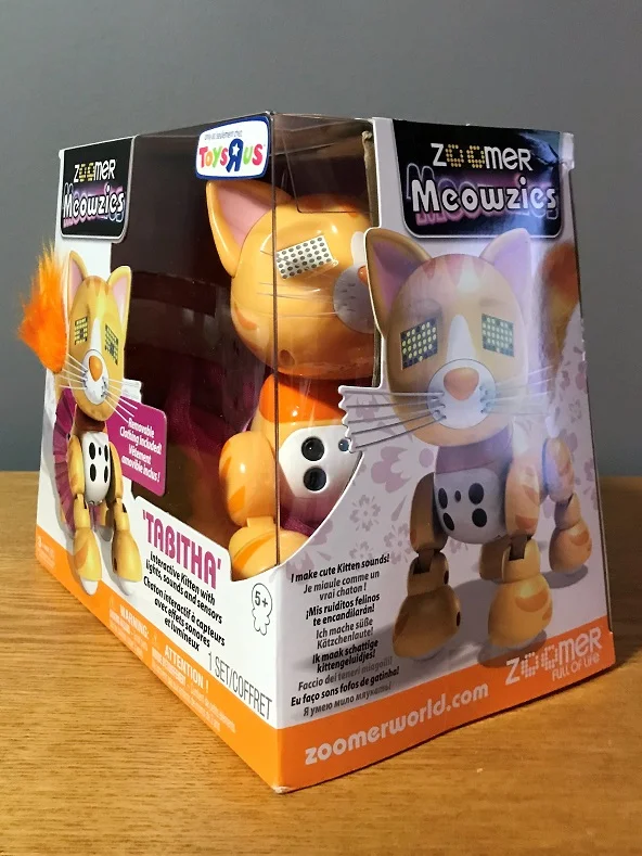 子猫 61Irb0L4N+L.jpg_BO30,255,255,